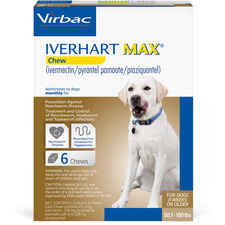 Iverhart Max-product-tile