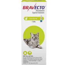 Bravecto for Cats 2.6-6.2 lbs 1 dose-product-tile