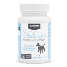 Nutramax Solliquin Calming Behavioral Health Supplement - With L-Theanine, Magnolia / Phellodendron, and Whey Protein Concentrate-product-tile