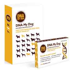 DNA My Dog Breed Identification Test-product-tile