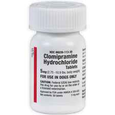 Clomipramine Hydrochloride Tablets - Generic to Clomicalm-product-tile