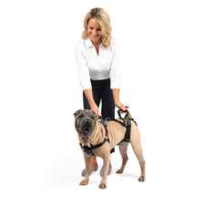 Full Body Dog Lifting Harness-product-tile