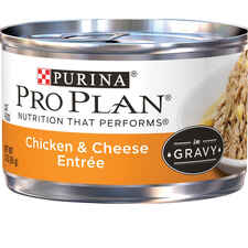 Purina Pro Plan Chicken & Cheese Entrée in Gravy Wet Cat Food-product-tile