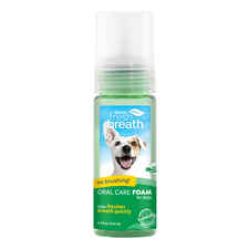 TropiClean Fresh Breath Oral Care Fresh Mint Foam-product-tile